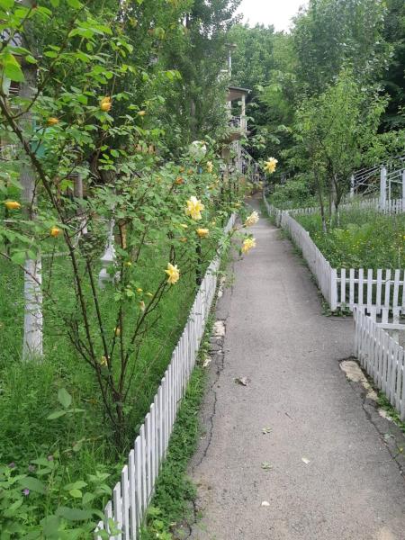 Na zdjęciu widoczny jest obiekt Vələs Garden położony w mieście Küsnǝt.