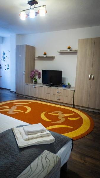 Violeta Apartament - Sighișoara