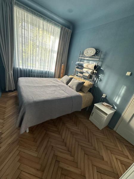 A la foto es mostra l'objecte Cozy Apartment- Self Check- In situat a la ciutat de Riga.