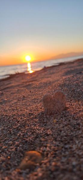 Halkidiki Stay - Chalkidiki