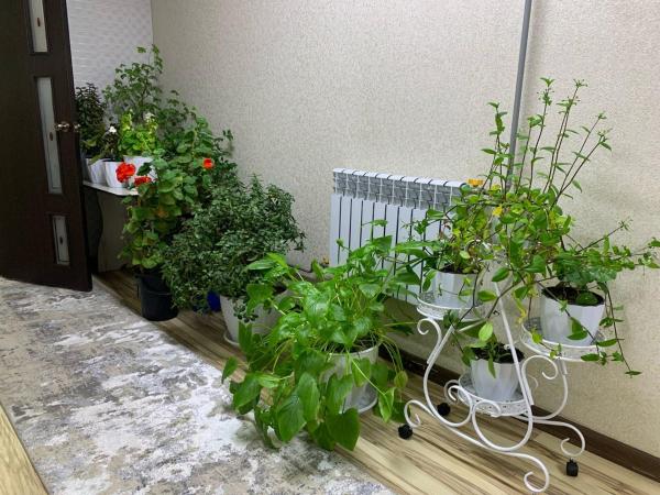 Foto 3: Омурбек