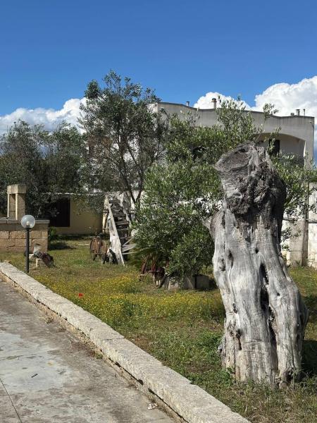 Na zdjęciu widoczny jest obiekt B&B Sant'Antonio położony w mieście Collepasso.