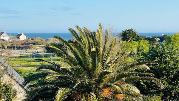 A la foto es mostra l'objecte VILLA TY EDEN - standing- dans JARDIN EXOTIQUE privé, PLAGE à 200m situat a la ciutat de Keranquernat.