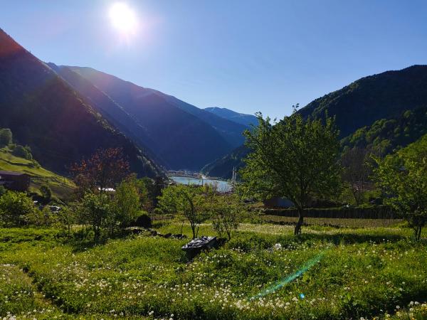 ÇAy Pansiyon - Türkiye