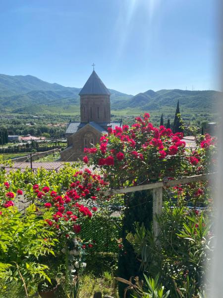 På bilden syns objektet garden and panorama som ligger i staden Mtscheta.