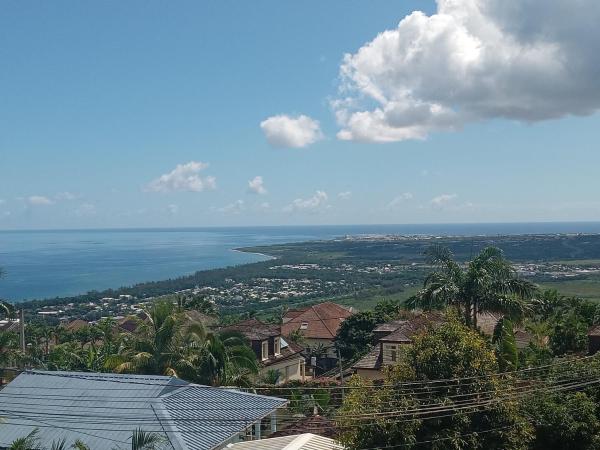 Frangipanier - Réunion