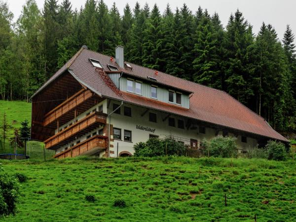 Cosy Farmhouse Apartment At The Edge Of The Forest - Schwarzwald