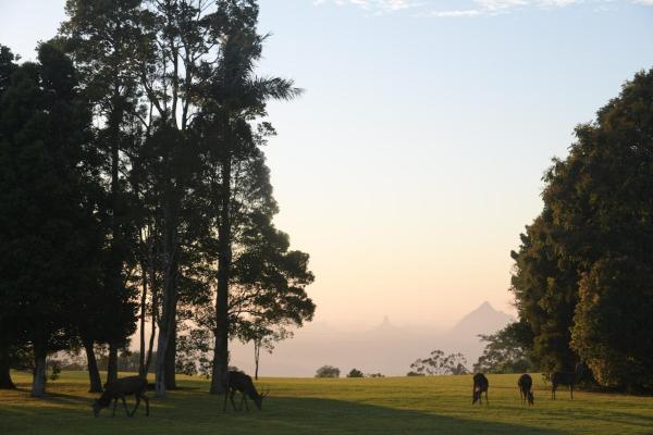 Auf dem Foto ist das Objekt Maleny Retreat - Pay 3 Stay 4 nights! First 3 bookings only! in der Stadt Bellthorpe zu sehen.