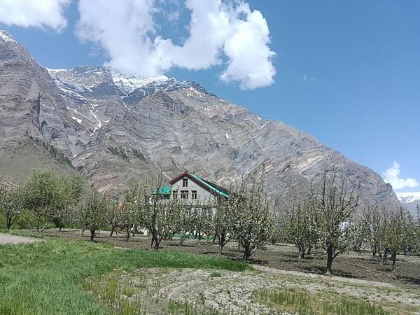 På billedet ses objektet Chandra Bhaga homestay and campsite beliggende i byen Tāndi.