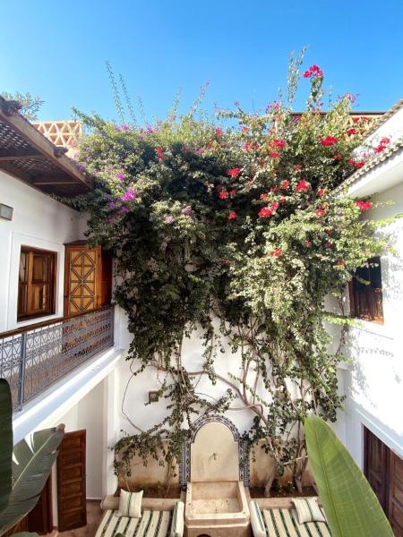 Momo House- Riad Momo - Marakeş