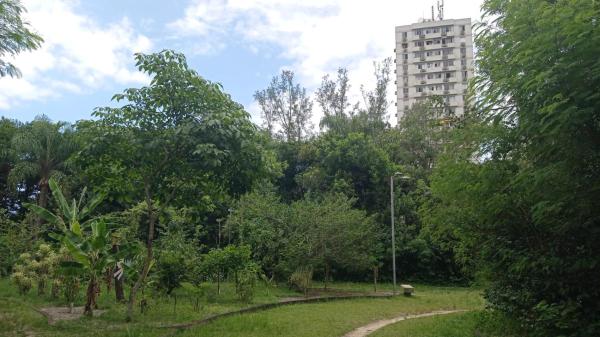 Foto 4: Edifício Sernambetiba