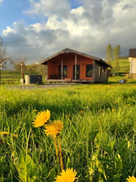 Op de foto is het object Family House Volosianka te zien, gelegen in de stad Volosyanka.