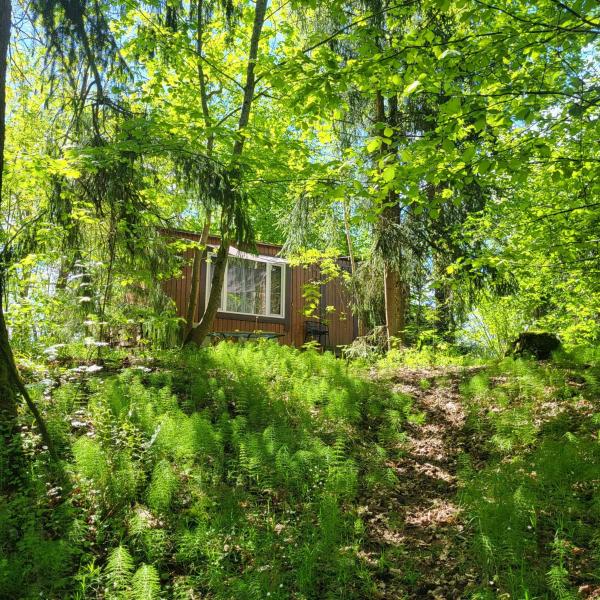 Στη φωτογραφία φαίνεται το αντικείμενο Camping House Aivari που βρίσκεται στην πόλη Murjāņi.