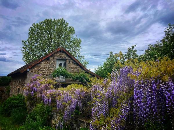 A la foto es mostra l'objecte Vakantiehuis in groene oase situat a la ciutat de Biollet.