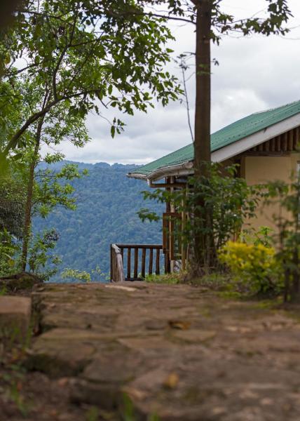 照片显示了位于Kachulagenyi市的Bwindi Orugano Lodge物件。