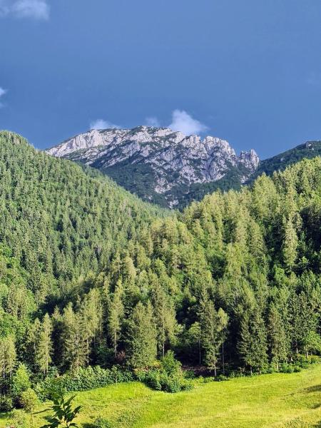 Na fotografii je vidět objekt Apartamento Pino Verde in San Colombano VT Vista, Natura, Wifi nacházející se ve městě Collio.