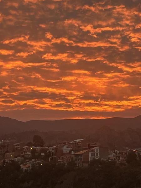 La imilla errante