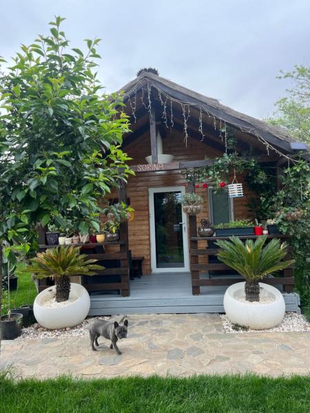 Na zdjęciu widoczny jest obiekt Cabana Sorina położony w mieście Corbu.