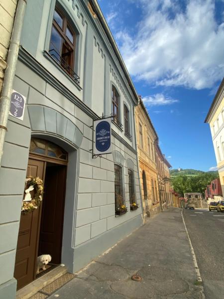 A la foto es mostra l'objecte Apartmán Modrý dom 2 situat a la ciutat de Levoča.
