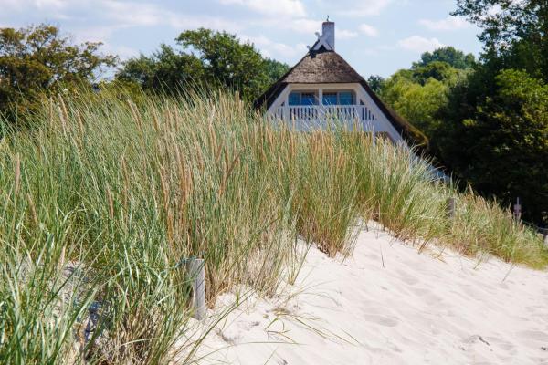 Strandhaus Claassen 08 - Ahrenshoop