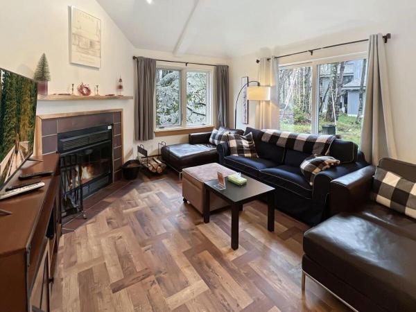 A la foto es mostra l'objecte Woods Village 43 situat a la ciutat de Killington.