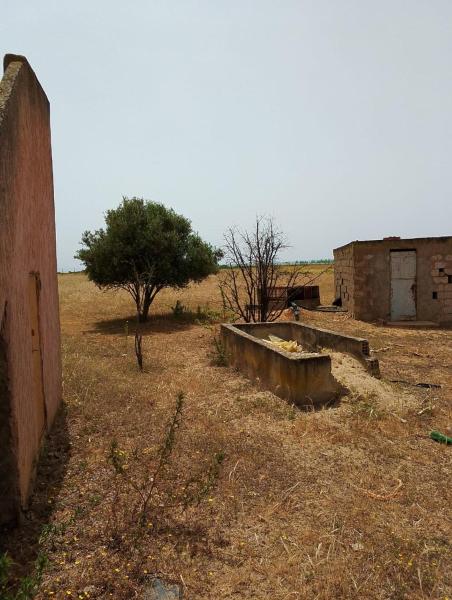 A la foto es mostra l'objecte la maison du belmokhtar Mansour situat a la ciutat de Douar Sidi Mohammed.