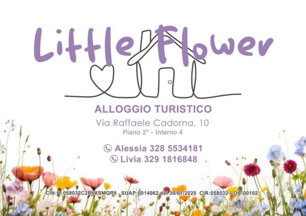 Auf dem Foto ist das Objekt Little Flower in der Stadt Civitavecchia zu sehen.