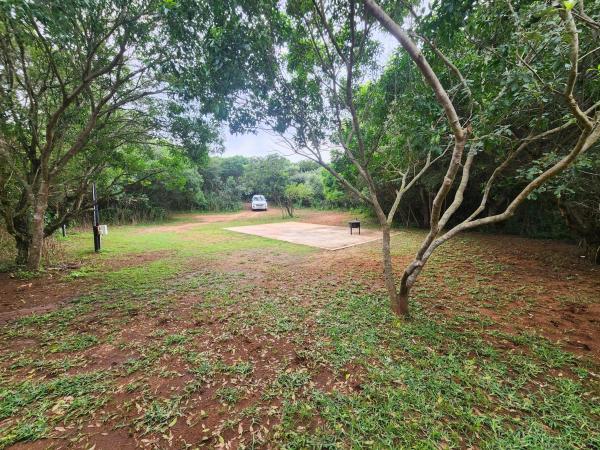 Na foto é possível ver o objeto Mkumbi Nyala Campsite localizado na cidade de Neemane.