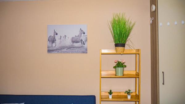 Cosy Flat off City Centre, Dublín