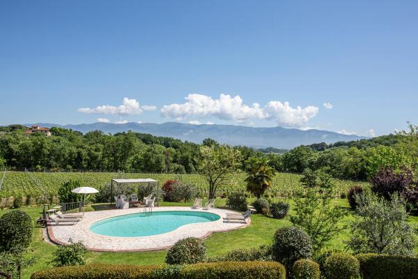 Luxury Chianti Countryside Villa With Pool Villa Bella Lisa - San Giovanni Valdarno