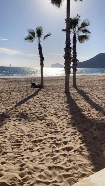 A la foto es mostra l'objecte Calpe Sofia Holiday-150 m from Arenal Beach and FREE PARKING situat a la ciutat de Calp.