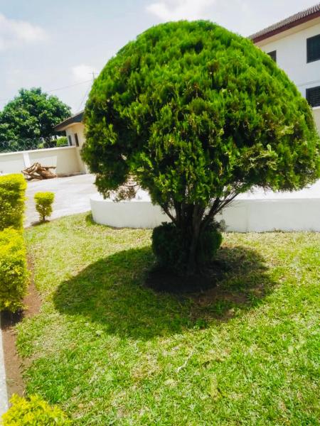 A la foto es mostra l'objecte Charles and ko mansion situat a la ciutat de Accra.