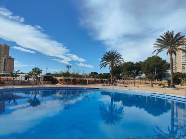Las Lanzas Lzmrc - Alicante