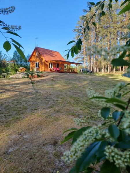 A la foto es mostra l'objecte Domek w lesie situat a la ciutat de Biłgoraj.