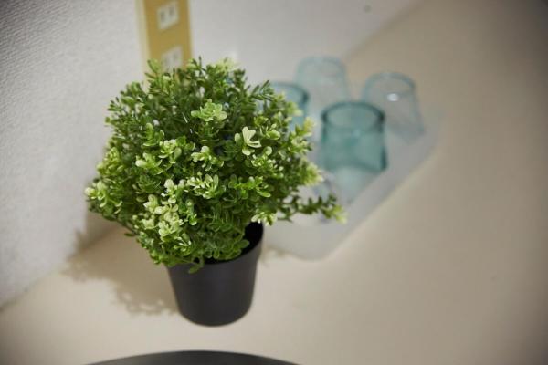 Foto 6: おやど紀伊国屋五島町