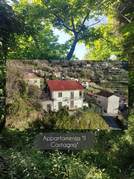 Na zdjęciu widoczny jest obiekt Appartamento Il Castagno położony w mieście Carignano.