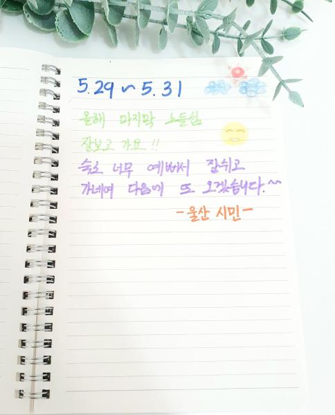 Fotografie 6: 노들썬스테이