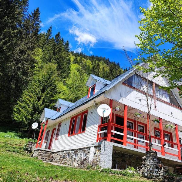 A la foto es mostra l'objecte Cabana Dara situat a la ciutat de Cumpăna.