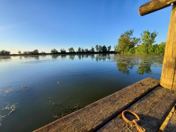 A la foto es mostra l'objecte Petite maison proche rivière situat a la ciutat de La Taillée.