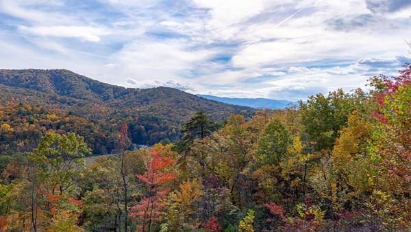 Billede 8: Summit View by Venture Smoky Mountains