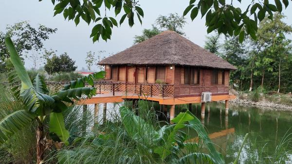 写真にはPaliā Kalān市にあるJungle Heritage Resortが写っています。