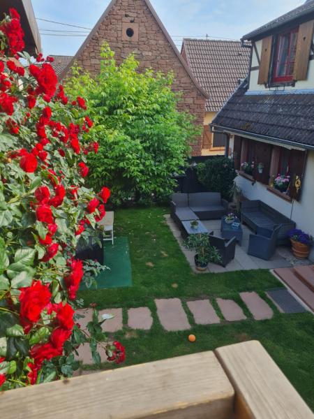 Na fotografii je vidět objekt Studio chez Eve et Momo nacházející se ve městě Menchhoffen.
