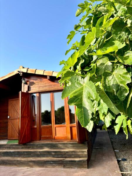 照片显示了位于El Palmar市的Casa de Madera物件。