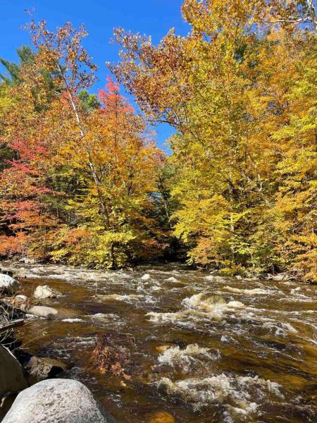 照片显示了位于Cragsmoor市的Twin Creeks, Waterfront Catskills Retreat物件。