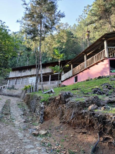 På bildet vises objektet Finca Elvira som ligger i byen El Progreso.