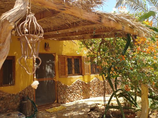 På bildet vises objektet Jillyfish House Dahab - deine Oase in zwei Palmengärten - zentral am 'Lighthouse' som ligger i byen Dahab.