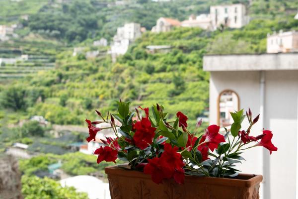 Casa Nonna Angela- Relax & Parcheggio Privato - Maiori