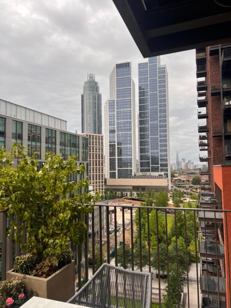 Embassy Gardens 2 Bed Apartment - London Skypool - Palace of Westminster