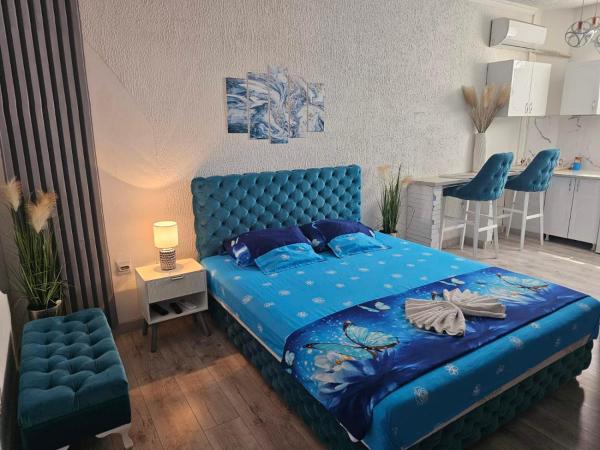 照片显示了位于Šid市的Apartman u centru 1物件。