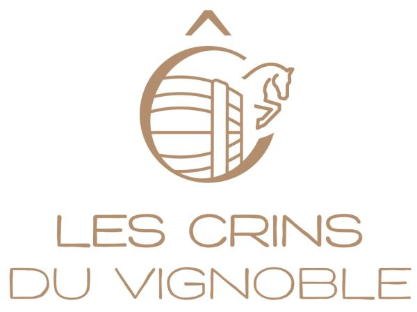 A la foto es mostra l'objecte Les crins du vignoble situat a la ciutat de Noë-les-Mallets.